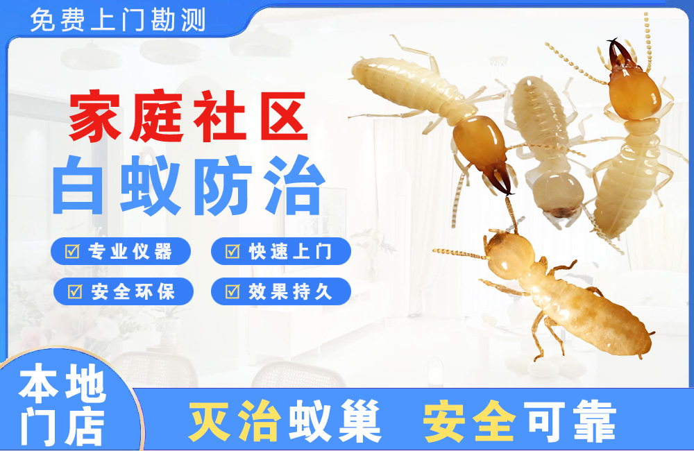 家庭社区白蚁防治