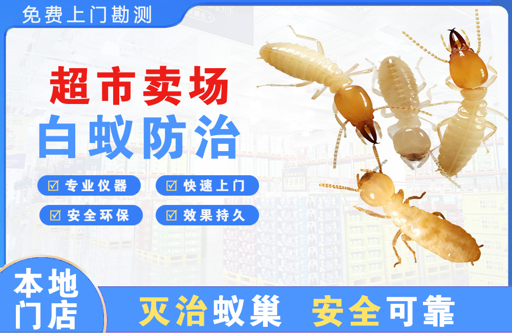 超市卖场白蚁防治