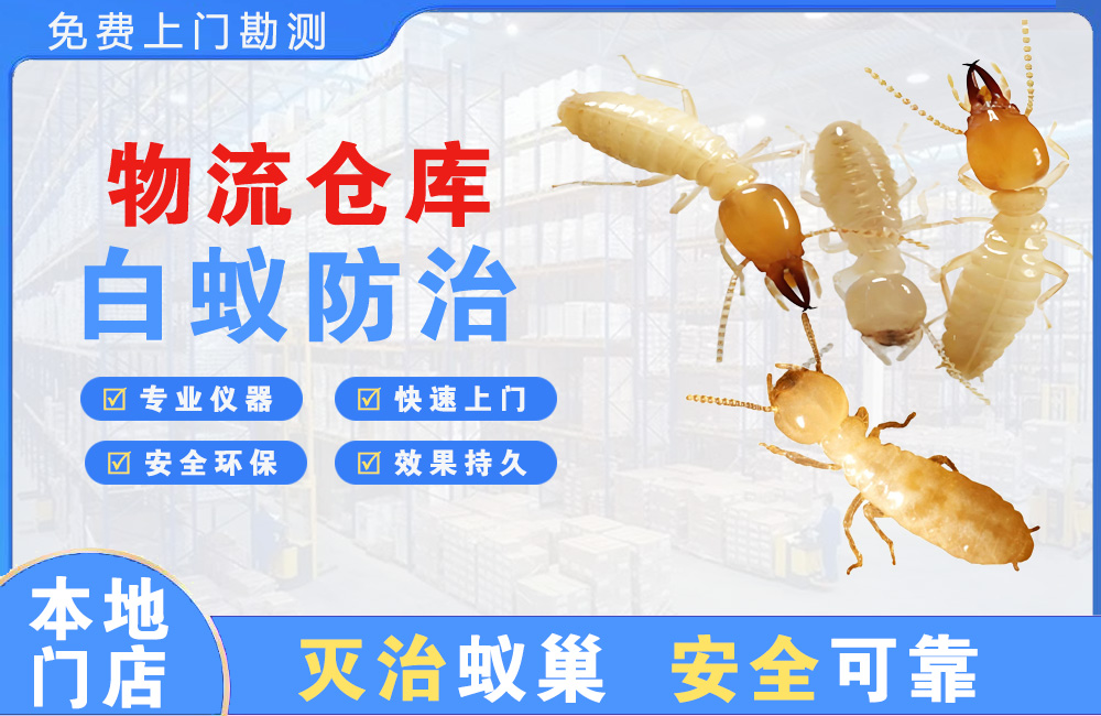 物流仓库白蚁防治