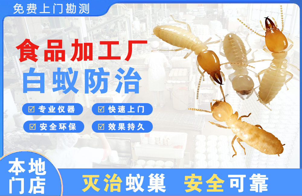 食品加工厂白蚁防治