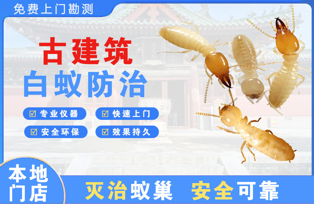 古建筑白蚁防治