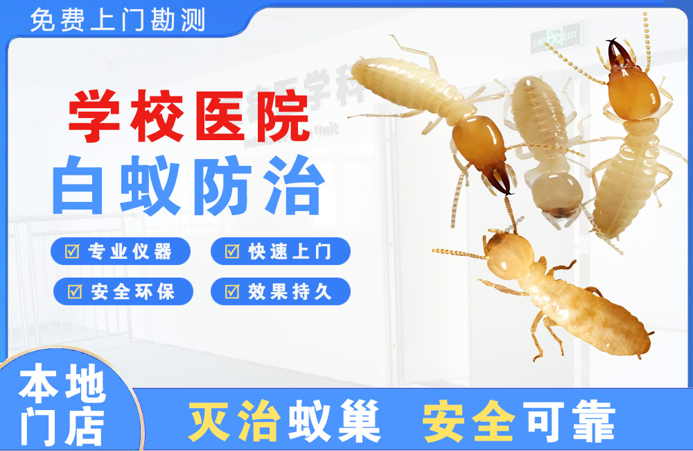 学校医院白蚁防治