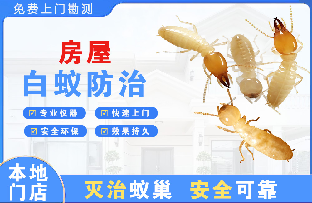 房屋白蚁防治