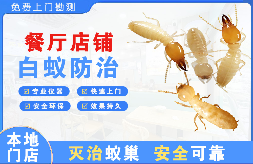 餐厅店铺白蚁防治